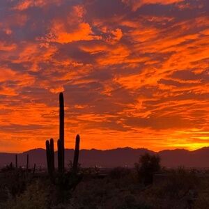 Meet your Posher, Jillian